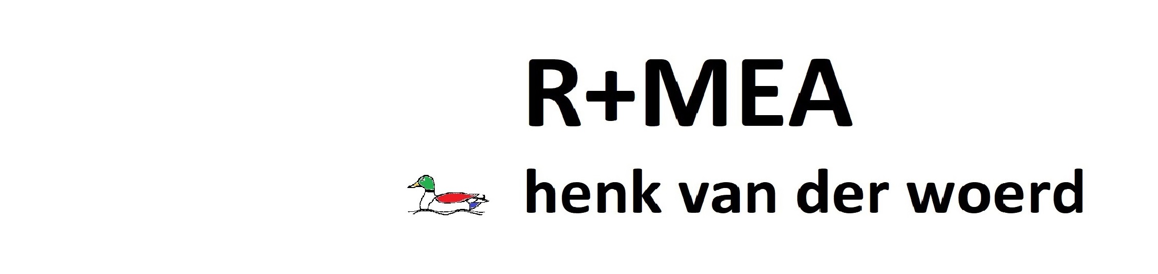 R+MEA henk van der woerd